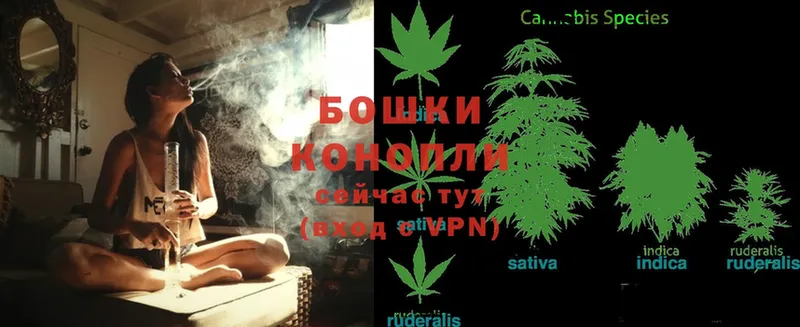 Шишки марихуана White Widow  наркотики  Абинск 